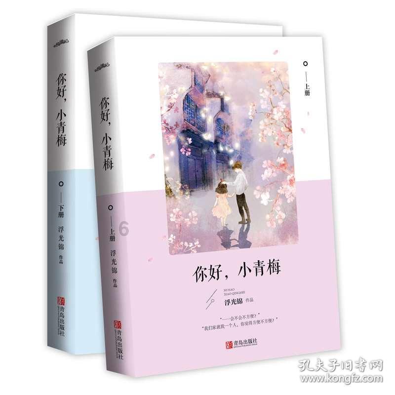天津东丽区市监局执法报告：去年行政复议几乎均为职业打假人申请